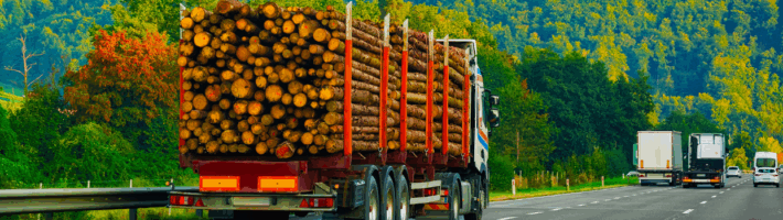 Transcoop: il consorzio che semplifica la gestione delle imprese di trasporto con l’IA