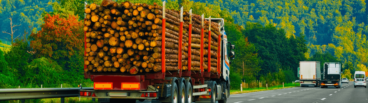 Transcoop: il consorzio che semplifica la gestione delle imprese di trasporto con l’IA